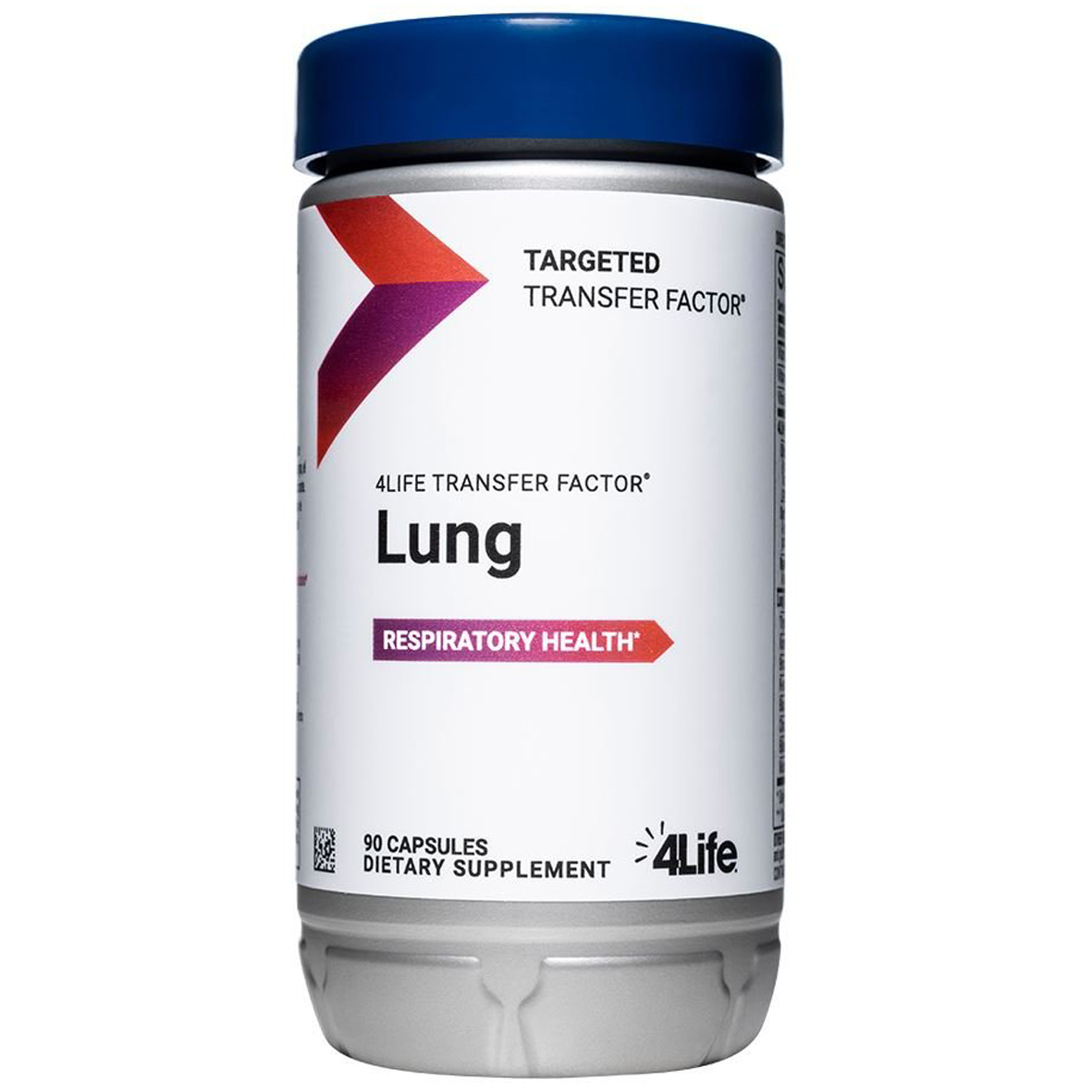 Lung