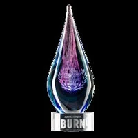 People's Choice Award